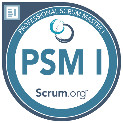 professional scrum master